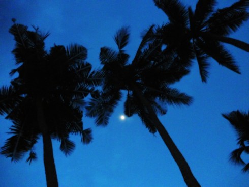 Early Dawn. Beautiful moon, I can see you.