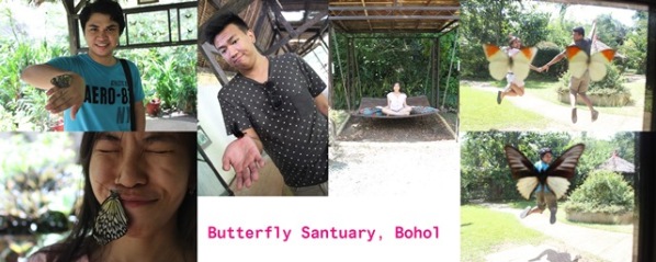 I Butterfly Sanctuary