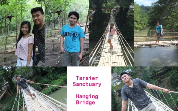 K Tarier Sanctuary