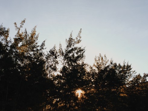 Processed with VSCO with m5 preset