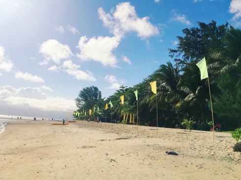 Processed with VSCO with g3 preset