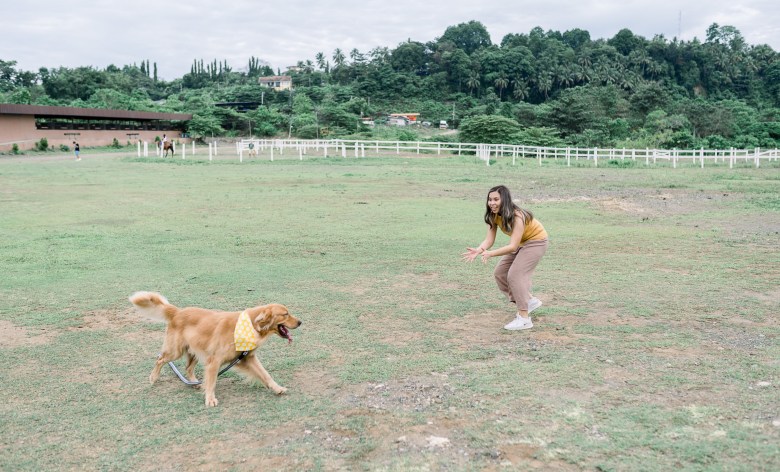 2021: Attitude of&nbsp;Gratitude